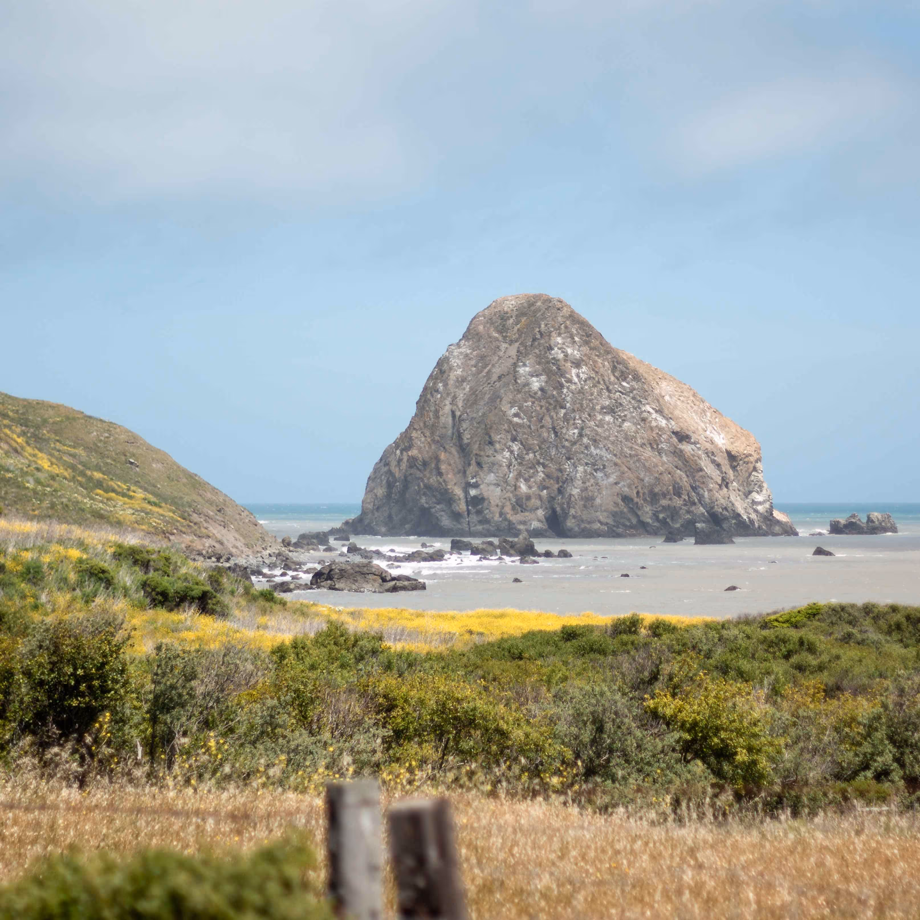 Large rocky formation in the ocean with surrounding flowers and green bushes under a blue sky.