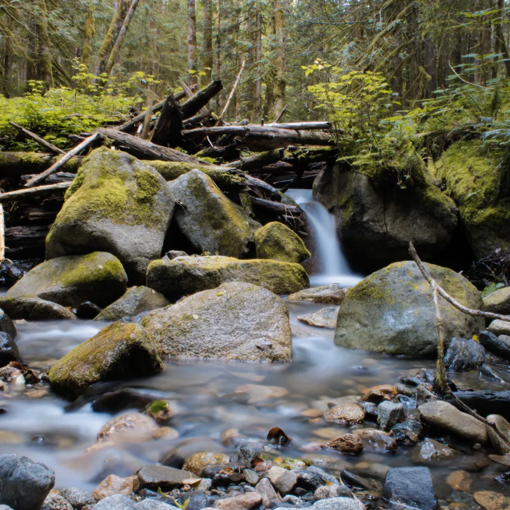 Nature photo in Mount Baker Wilderness from 2016.