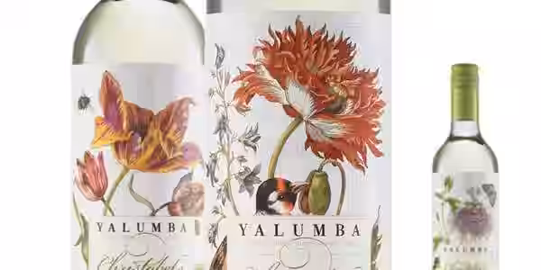 Floral and Botanical Wine Logos