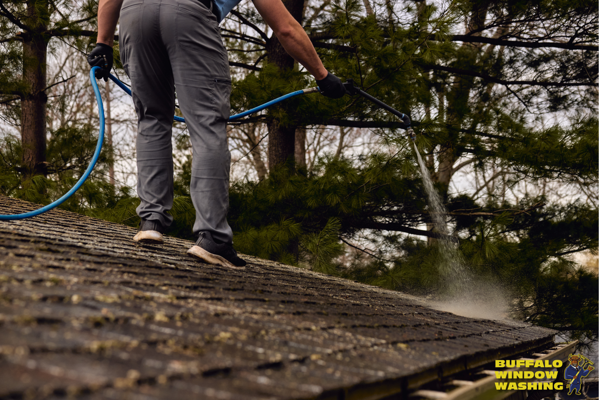 Technician applying roof cleaning solution