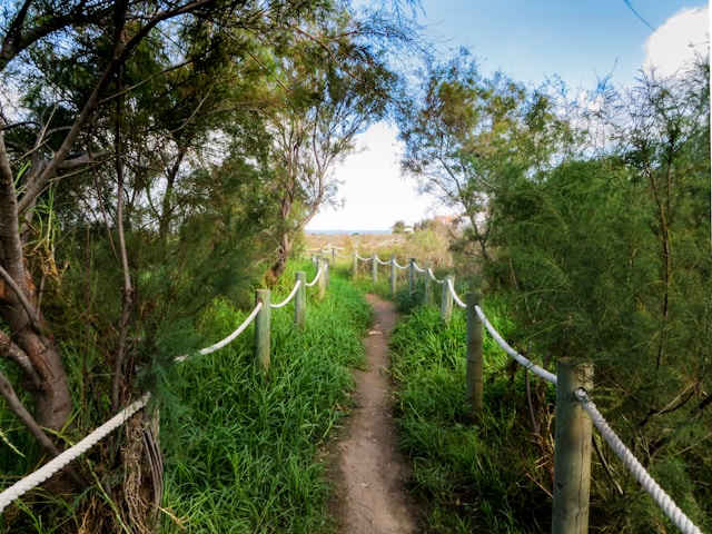 Photographie d'un chemin près de Mar Menor