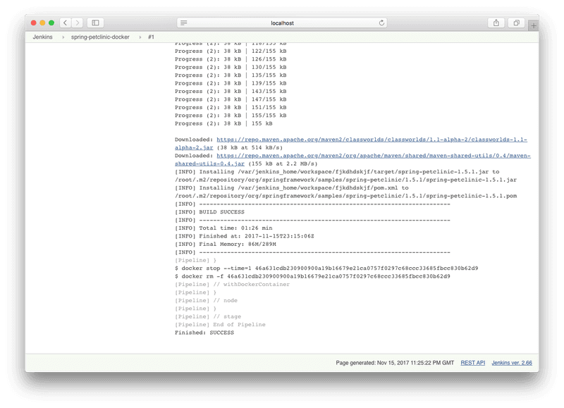 Installing the Spring PetClinic using the Maven image.