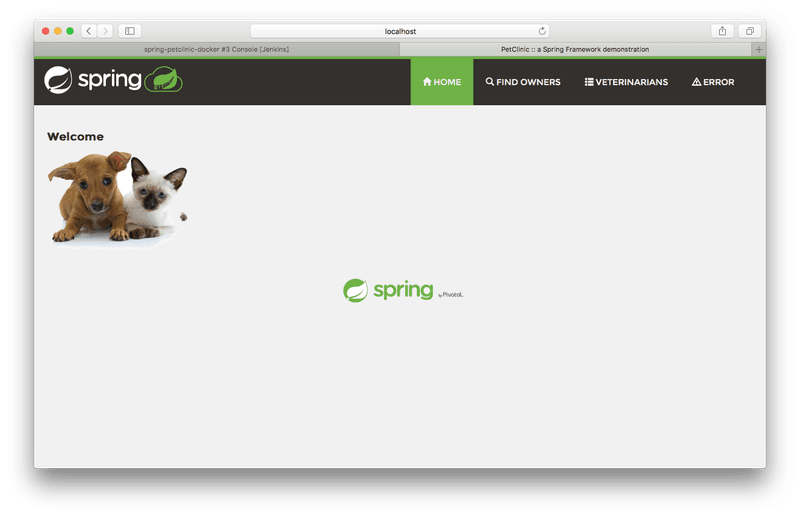 Spring PetClinic in a web browser at localhost:8081.