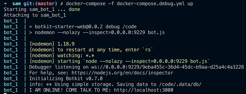 The bot startup using nodemon and the debugger listening on the port.