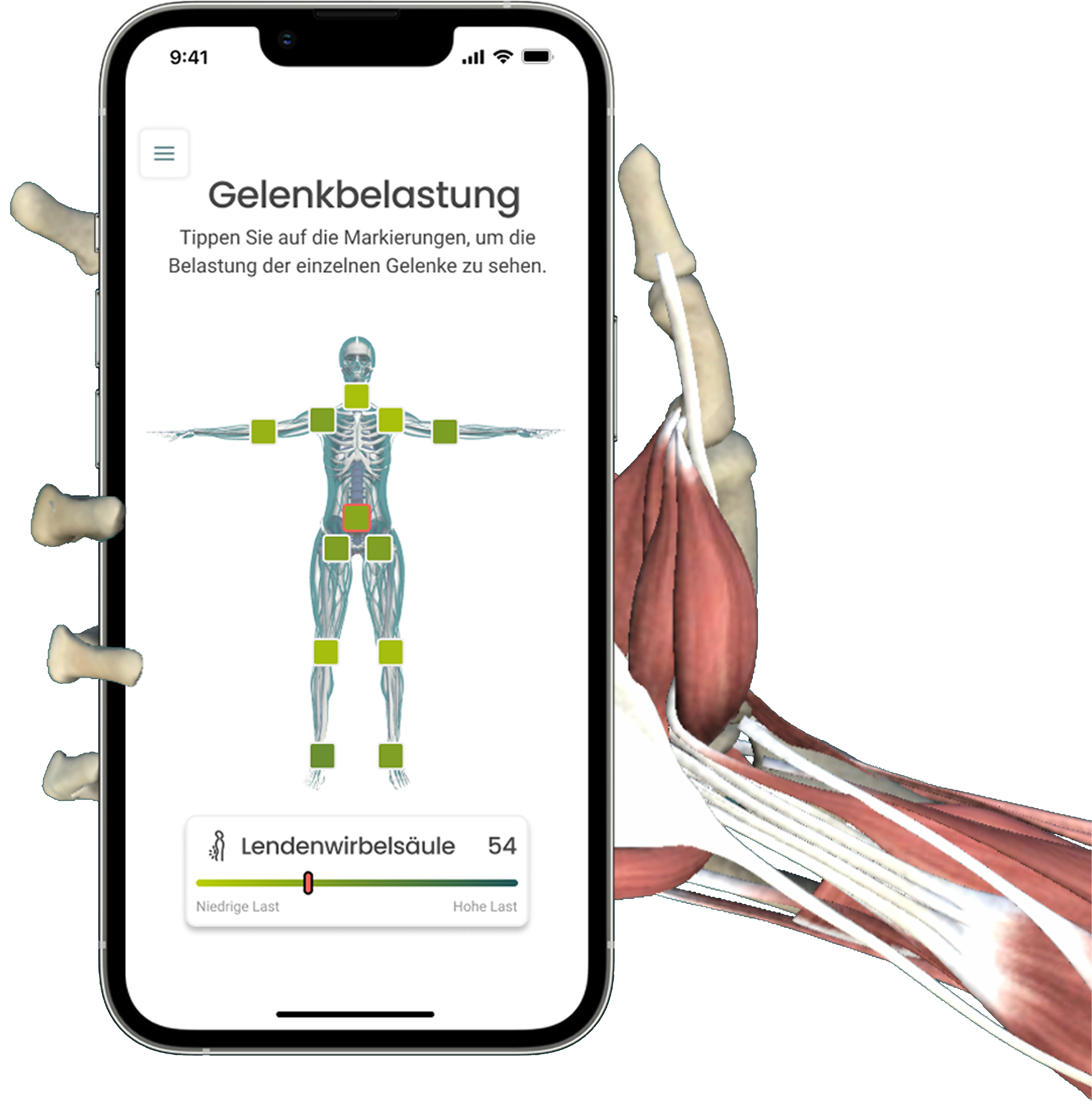 Smartphone mit einer App zur Gelenkbelastung, die ein Skelett mit Markierungen für verschiedene Gelenke zeigt, daneben Muskel- und Sehnenabbildung am Arm.