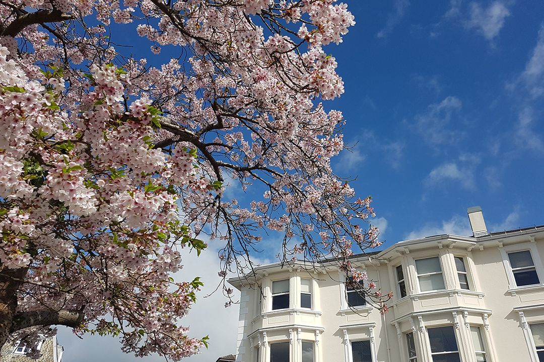 CooperBurnett LLP Solicitors: Looking ahead to 2026