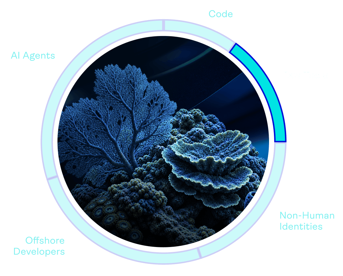 Dev tools, CI/CD and build systems SDLC risk