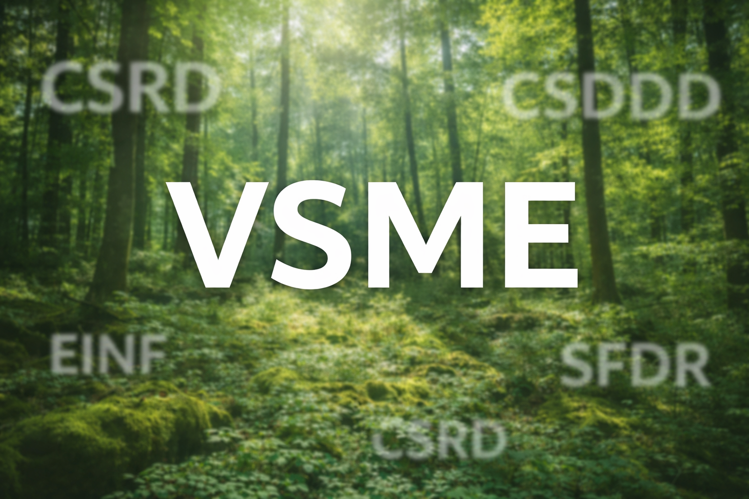 VSME