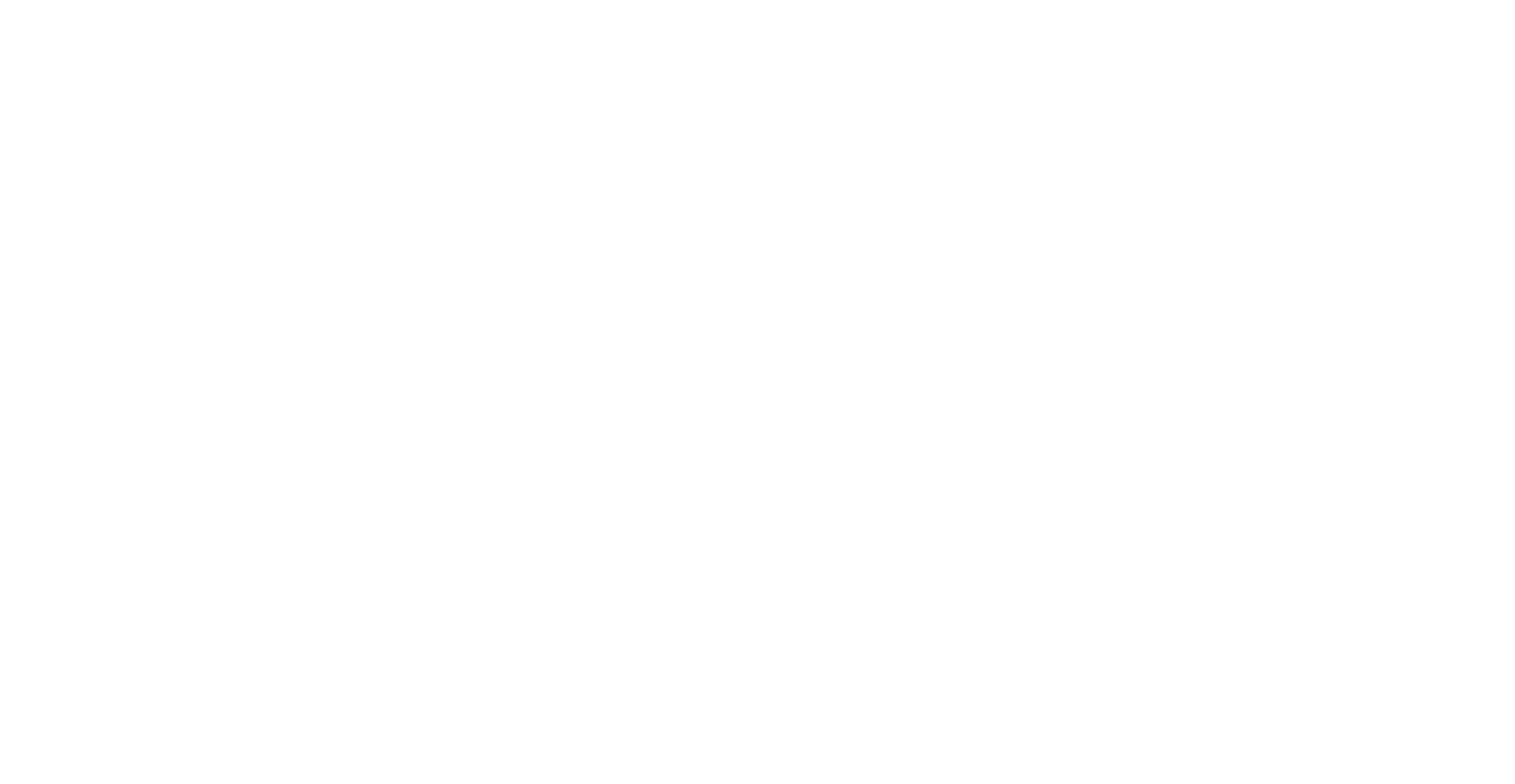 99 At Southwinds logo white