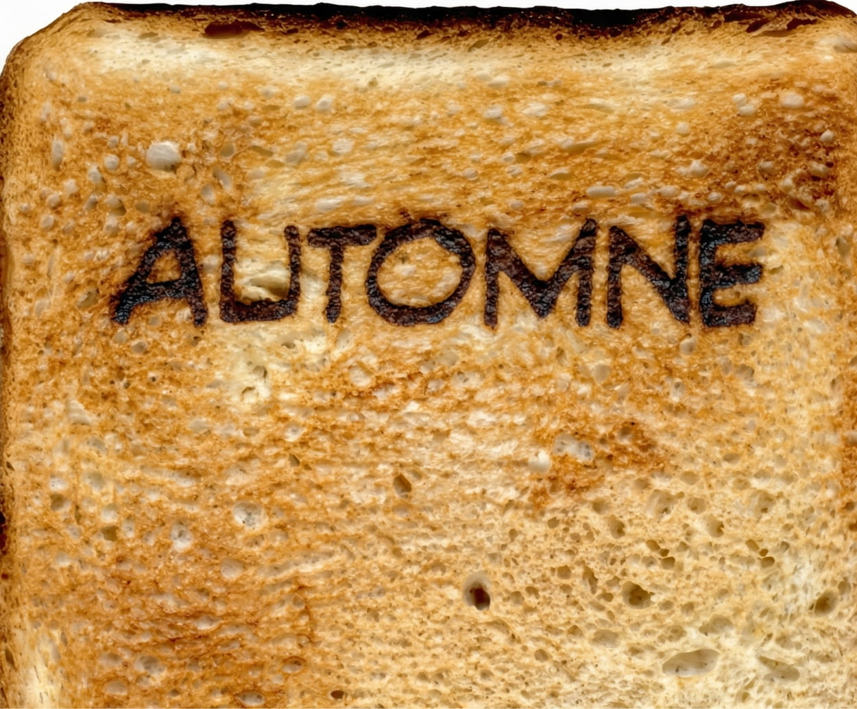 Studio Tangible spécialisé en image de marque - Projet de refonte d'identité visuel pour la boulangerie montréalaise Automne Boulangerie.