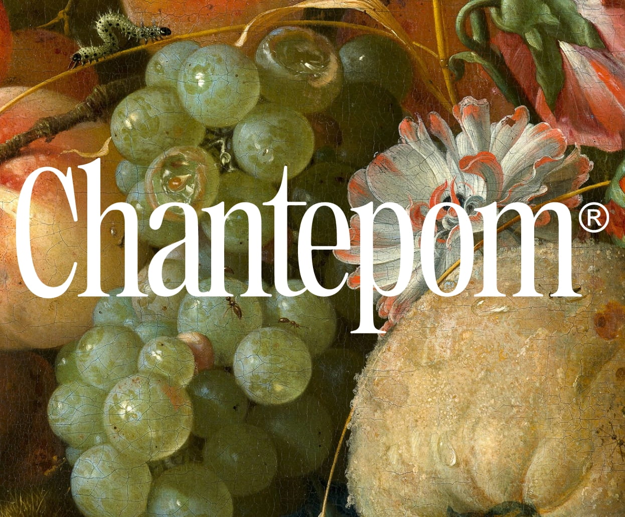 Studio Tangible spécialisé en image de marque - Projet de création de l'identité visuelle et packaging des boissons Chantepom.