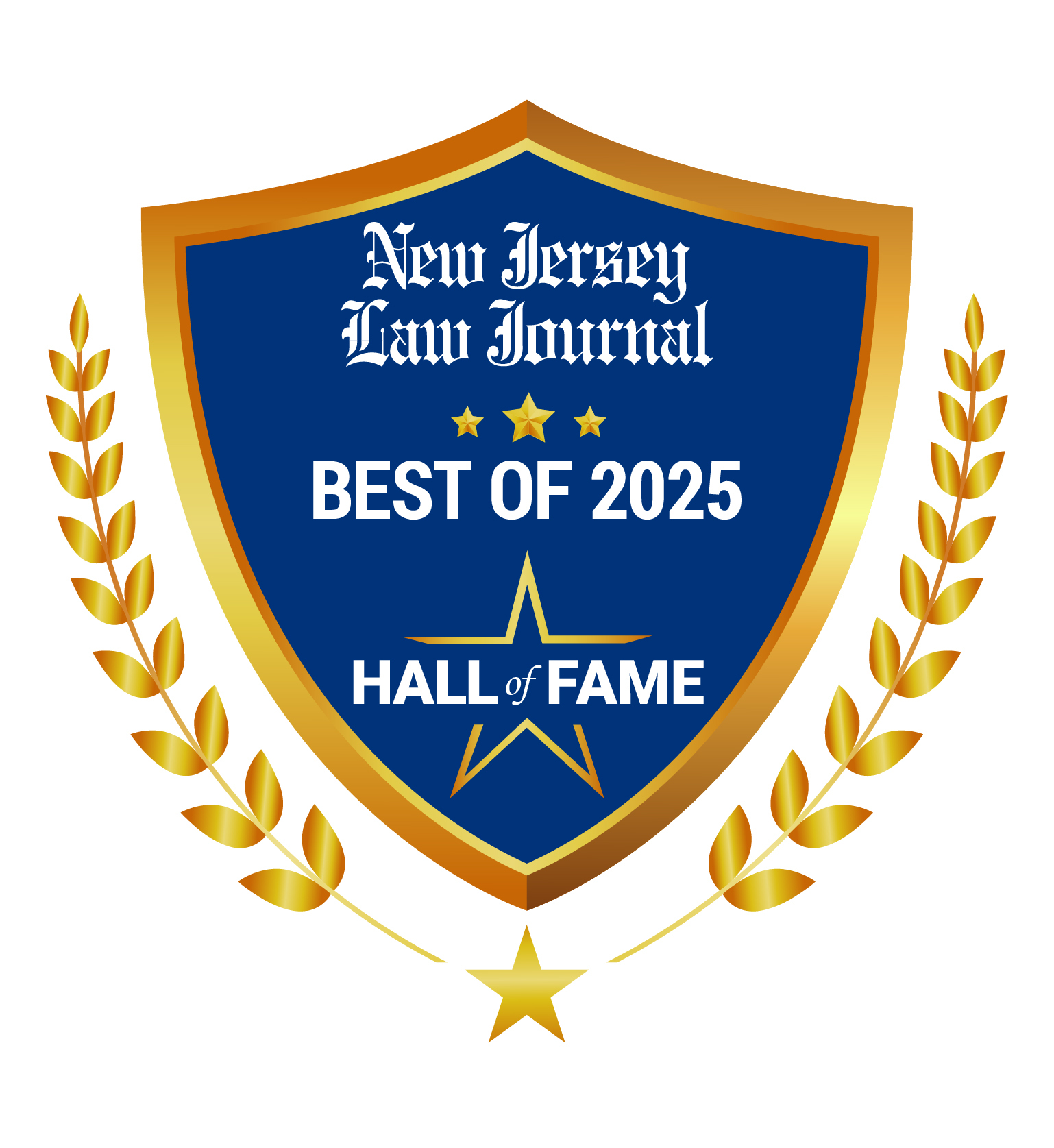 New Jersey Law Journal 2024