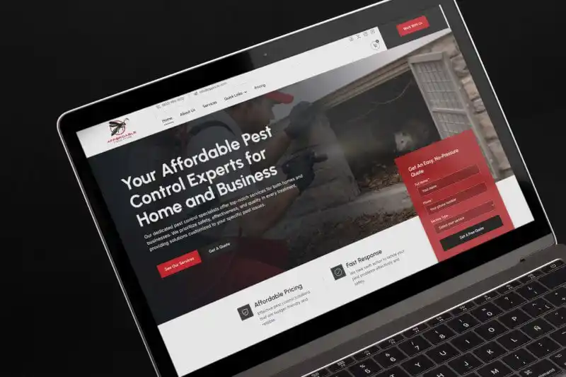 Affordable Pest Pros website design by VAVA Graphics