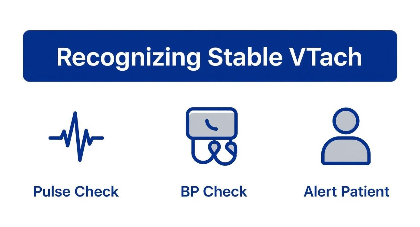 Three icons showing stable ventricular tachycardia recognition steps: pulse check, blood pressure check, and alert patient