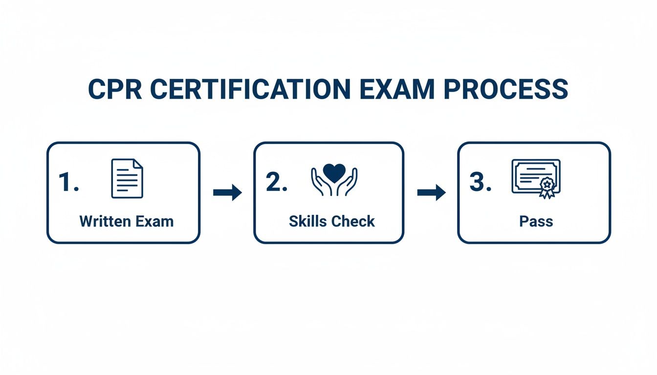A three-step infographic illustrating the CPR certification exam process, including a written exam, skills check, and passing.