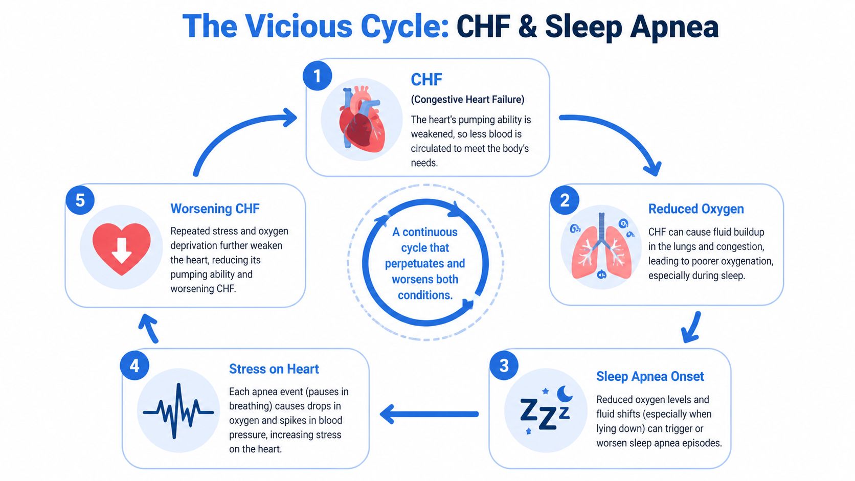 A diagram illustrating the vicious cycle between congestive heart failure and sleep apnea, showing five connected stages.