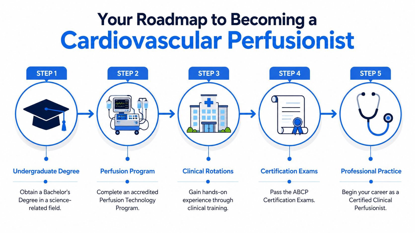 A five-step roadmap infographic explaining the educational and professional requirements for becoming a cardiovascular perfusionist.