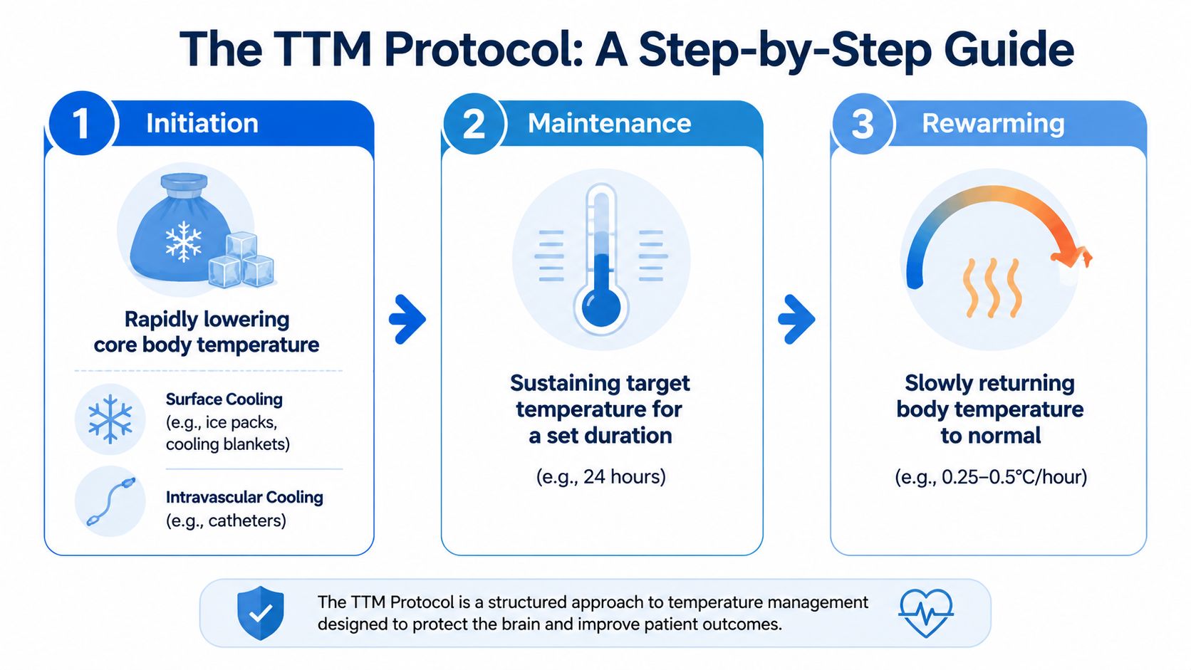 A step-by-step infographic illustrating the Targeted Temperature Management protocol, including initiation, maintenance, and rewarming phases.
