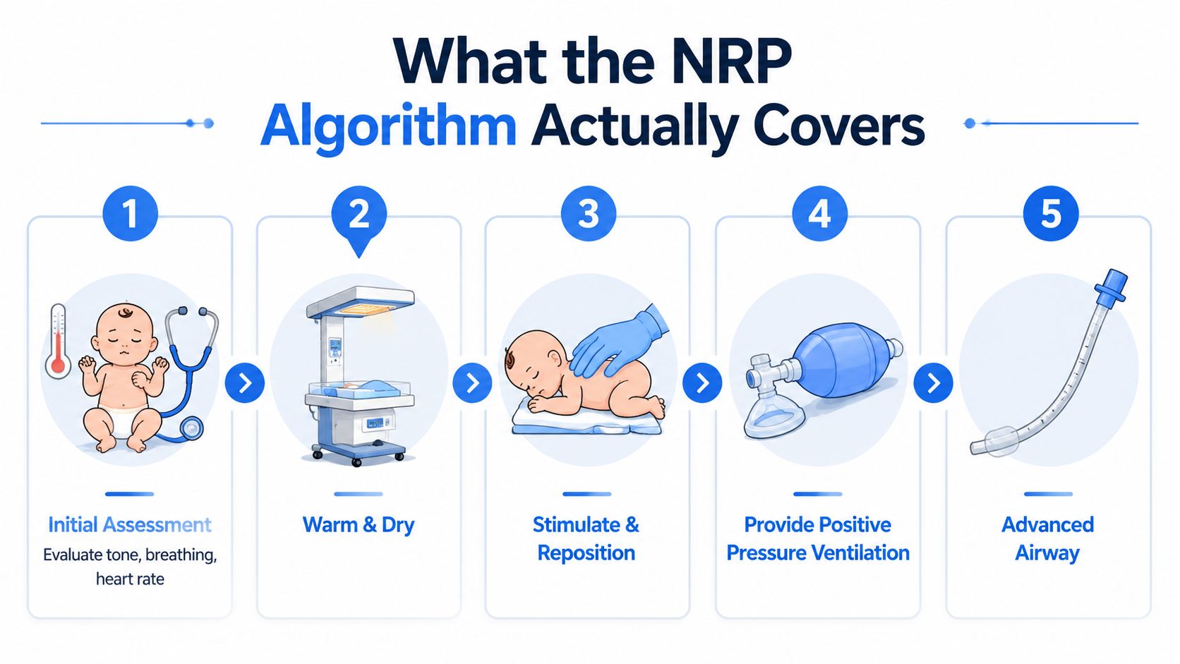 A diagram illustrating the five steps of the Neonatal Resuscitation Program algorithm for newborns.