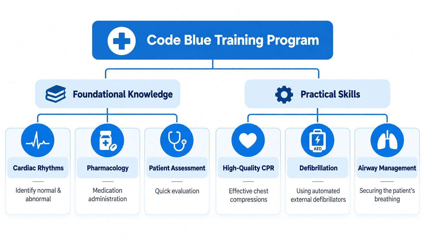A diagram outlining the Code Blue Training Program, divided into Foundational Knowledge and Practical Skills sections.