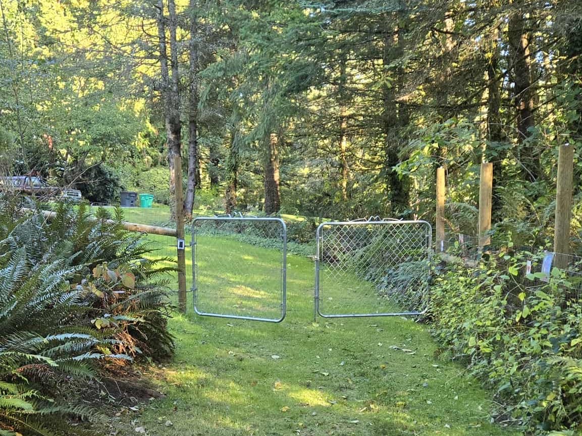 Freedom to Roam: Outdoor Education Thrives at Melody’s Munchkins with BuildUp Oregon Support