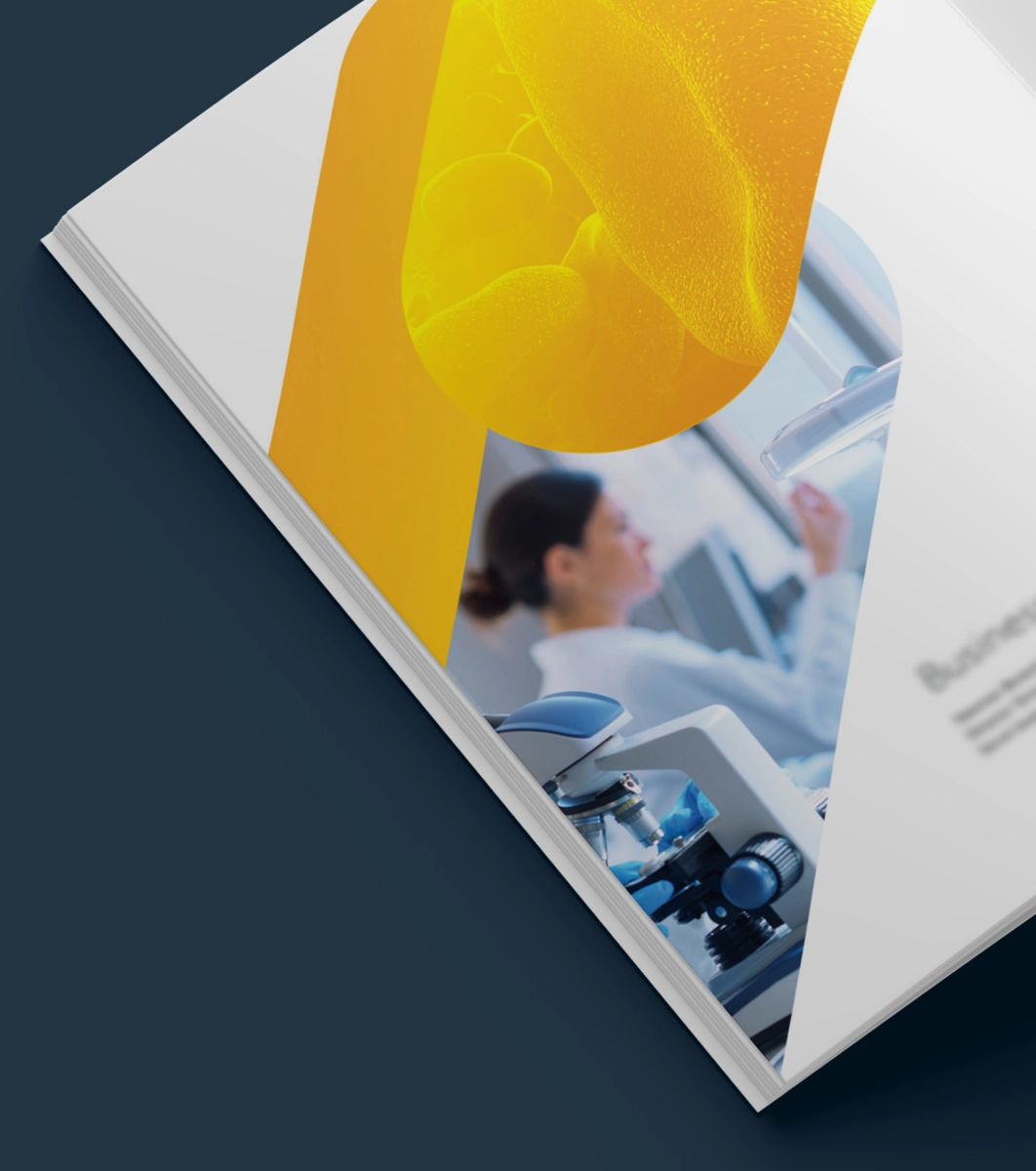 Information Memorandum Design