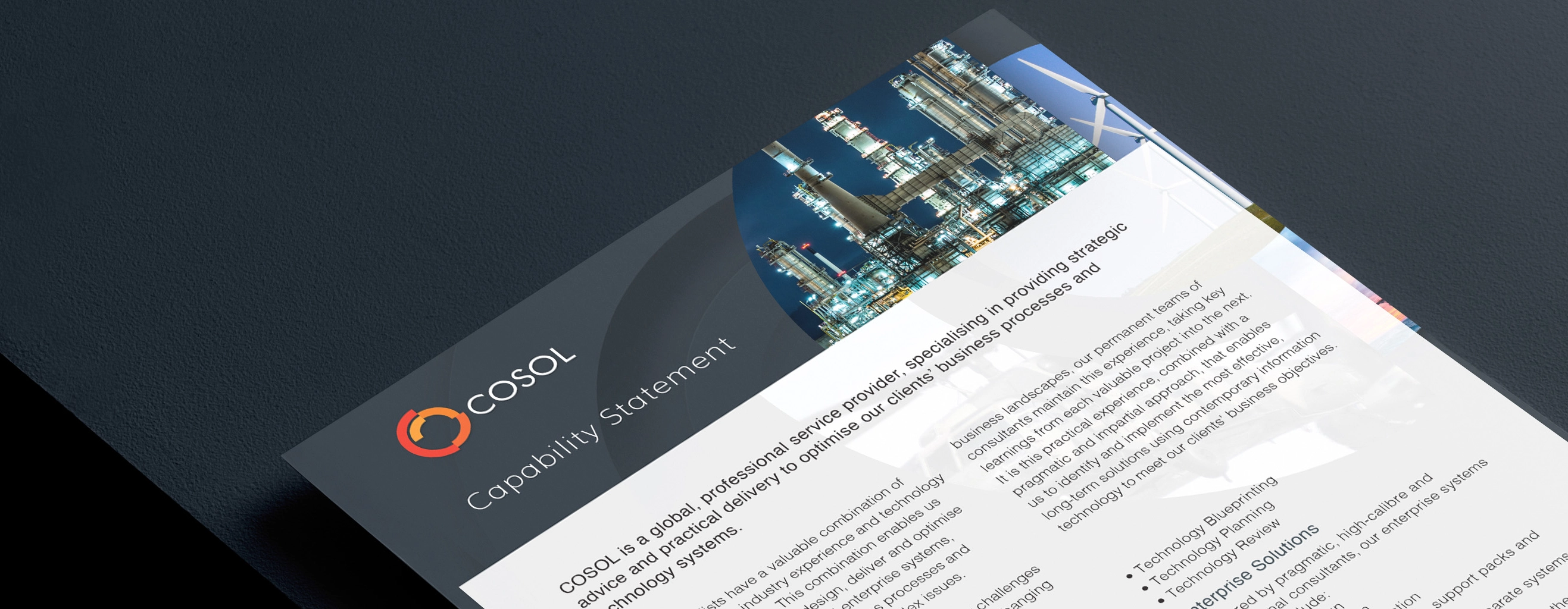 An example of a Capability Statement.