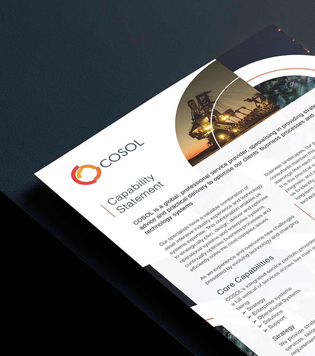 An example of a capability statement designed by Erica Miller Design