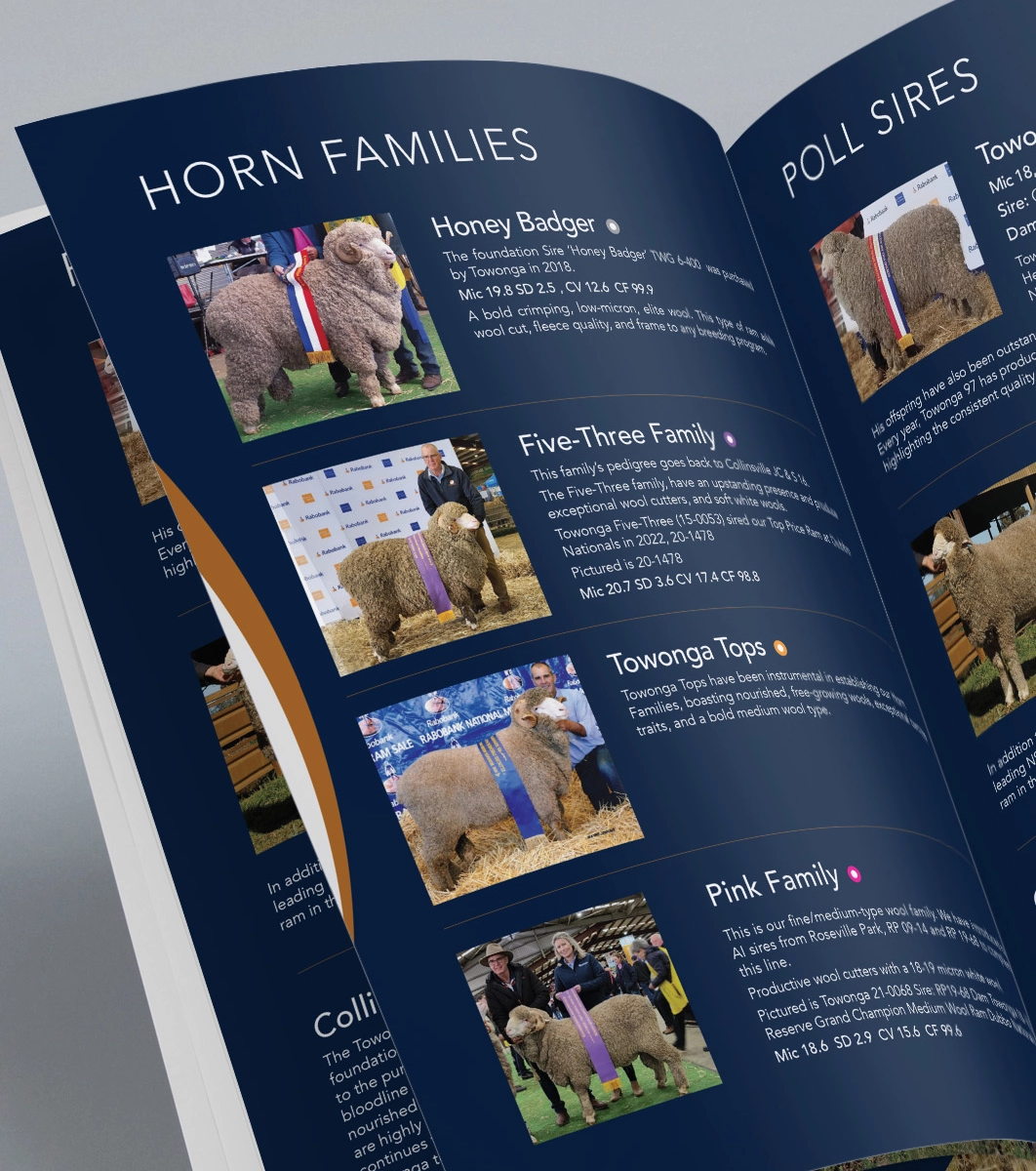 Towonga Merinos Catalogue