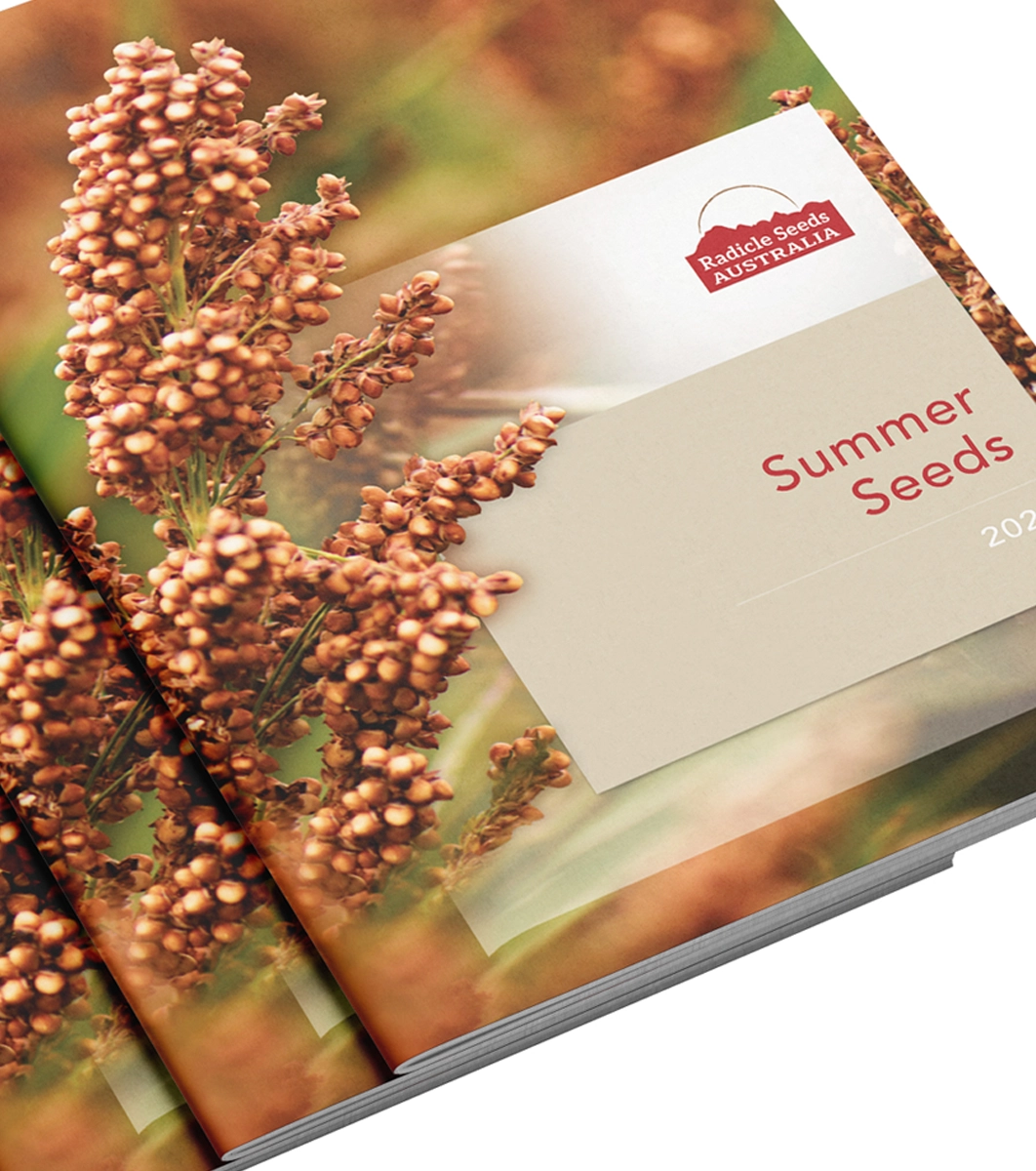 Information Memorandum Design Design