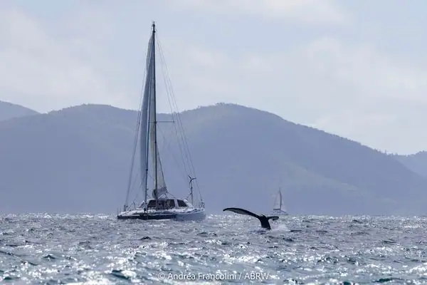ABRW 2026 | Sailing Day 2 (On-Water) | Andrea Francolini Photography