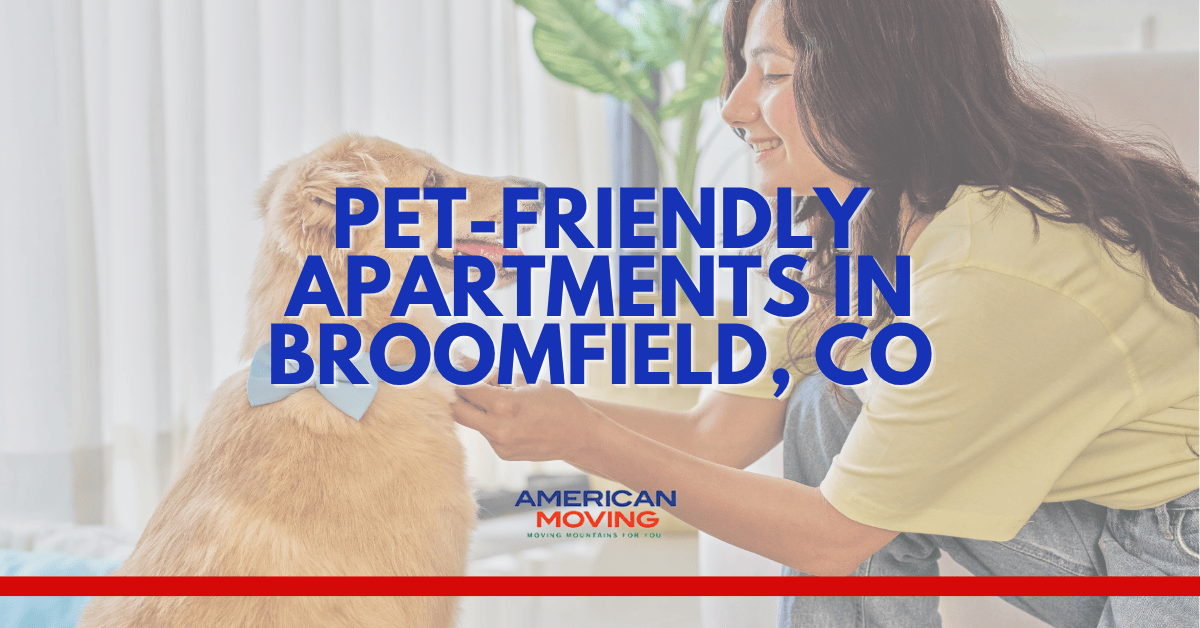 Pet-Friendly Apartments in Broomfield: Top Rentals for You and Your Furry Friend