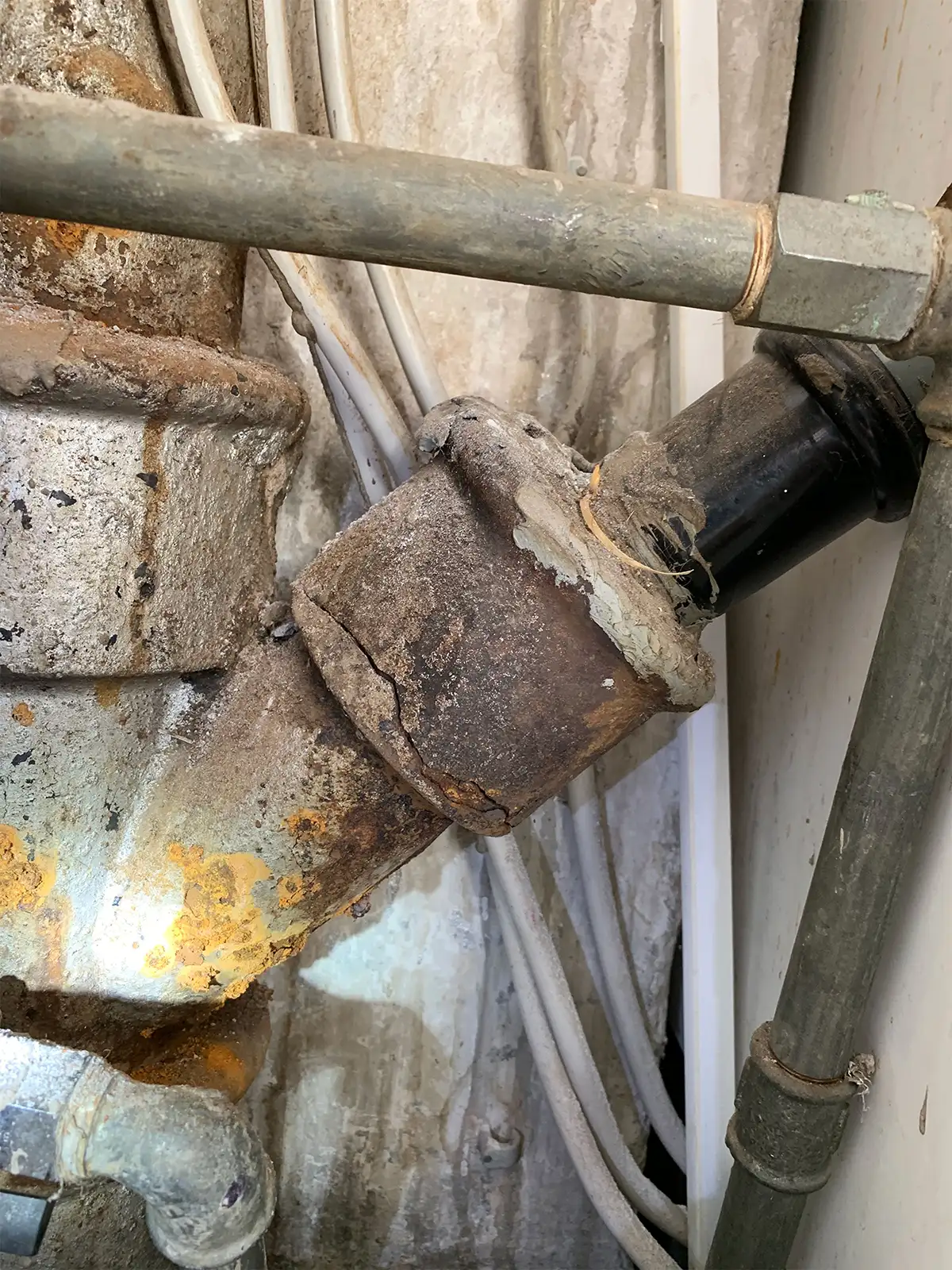 Billede af faldstamme som er rusten og flækket