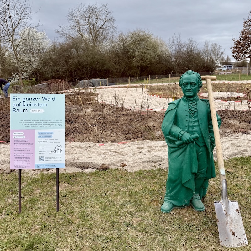TinyForest Goethe-Universität Frankfurt
