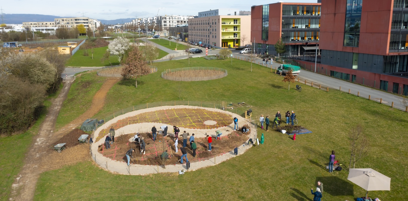 Mehr Mini-Wälder, mehr Gesundheit