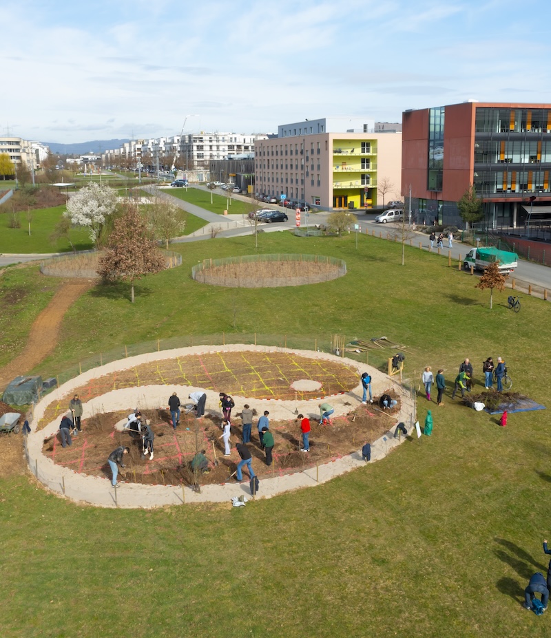 Mehr Mini-Wälder, mehr Gesundheit
