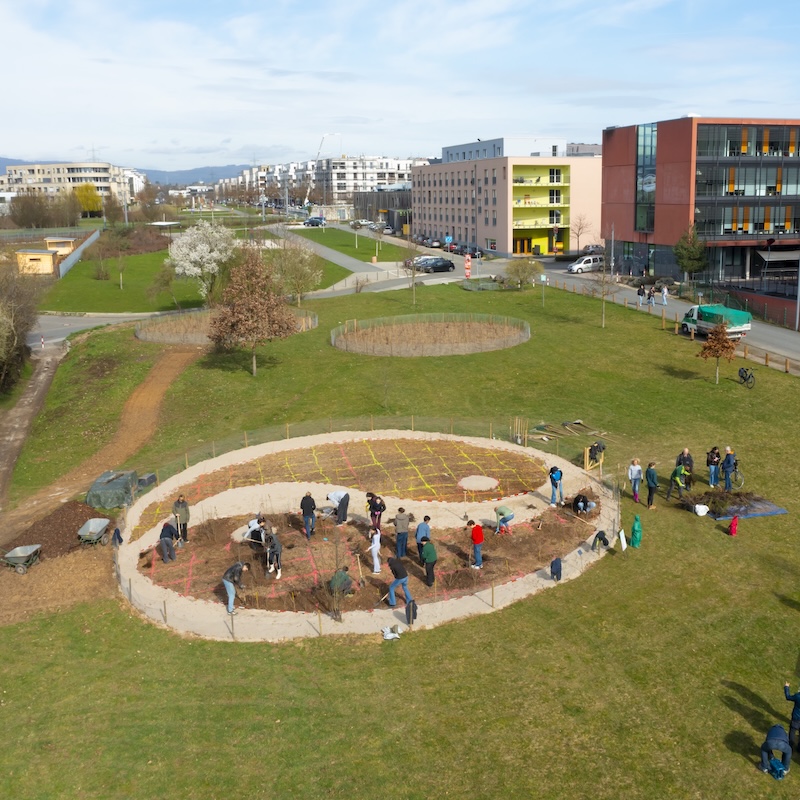 TinyForest Goethe-Universität Frankfurt