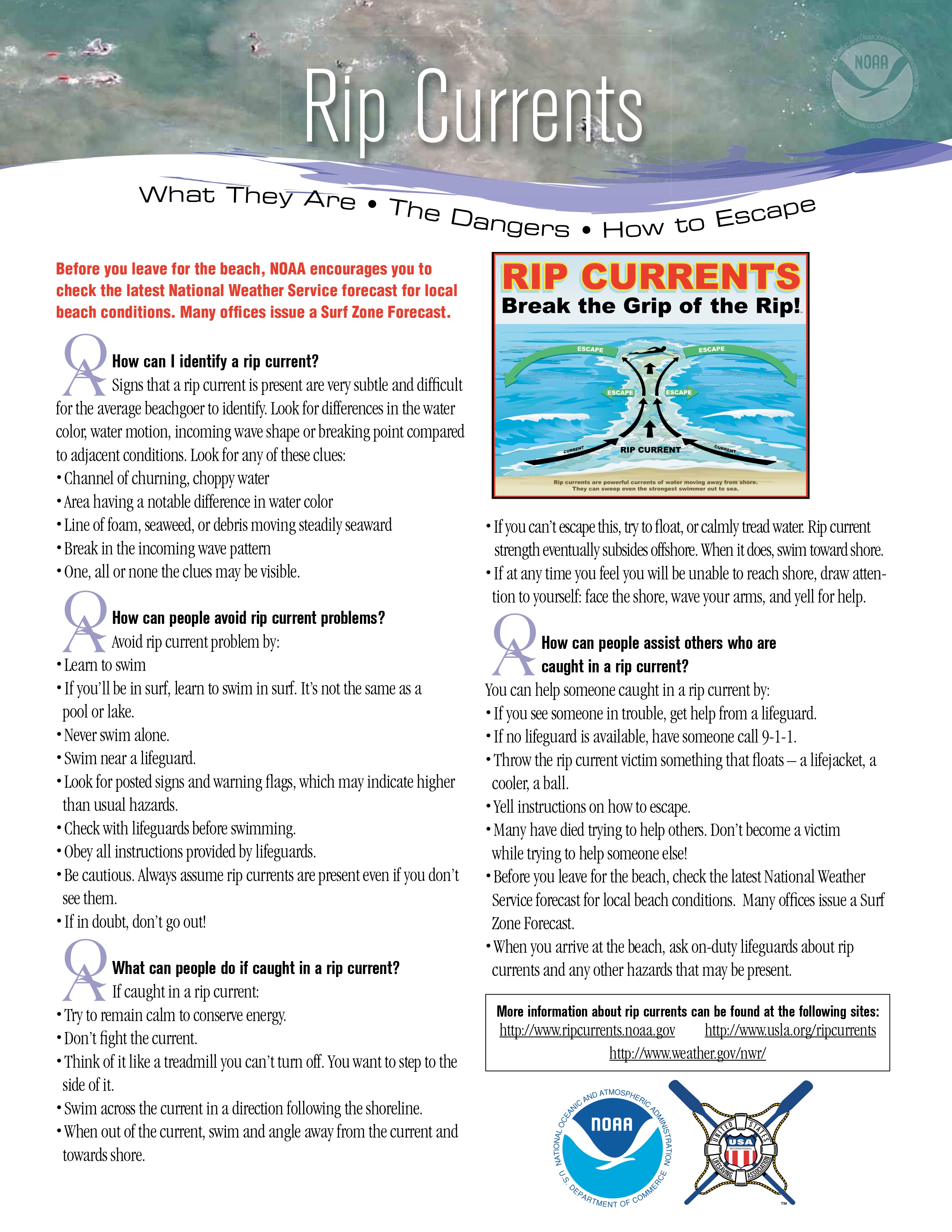 Citywide Council on English Language Learners flyer