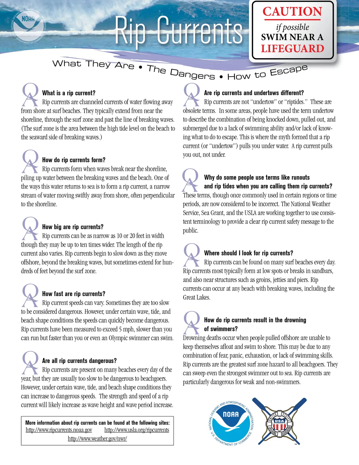 Citywide Council on English Language Learners flyer
