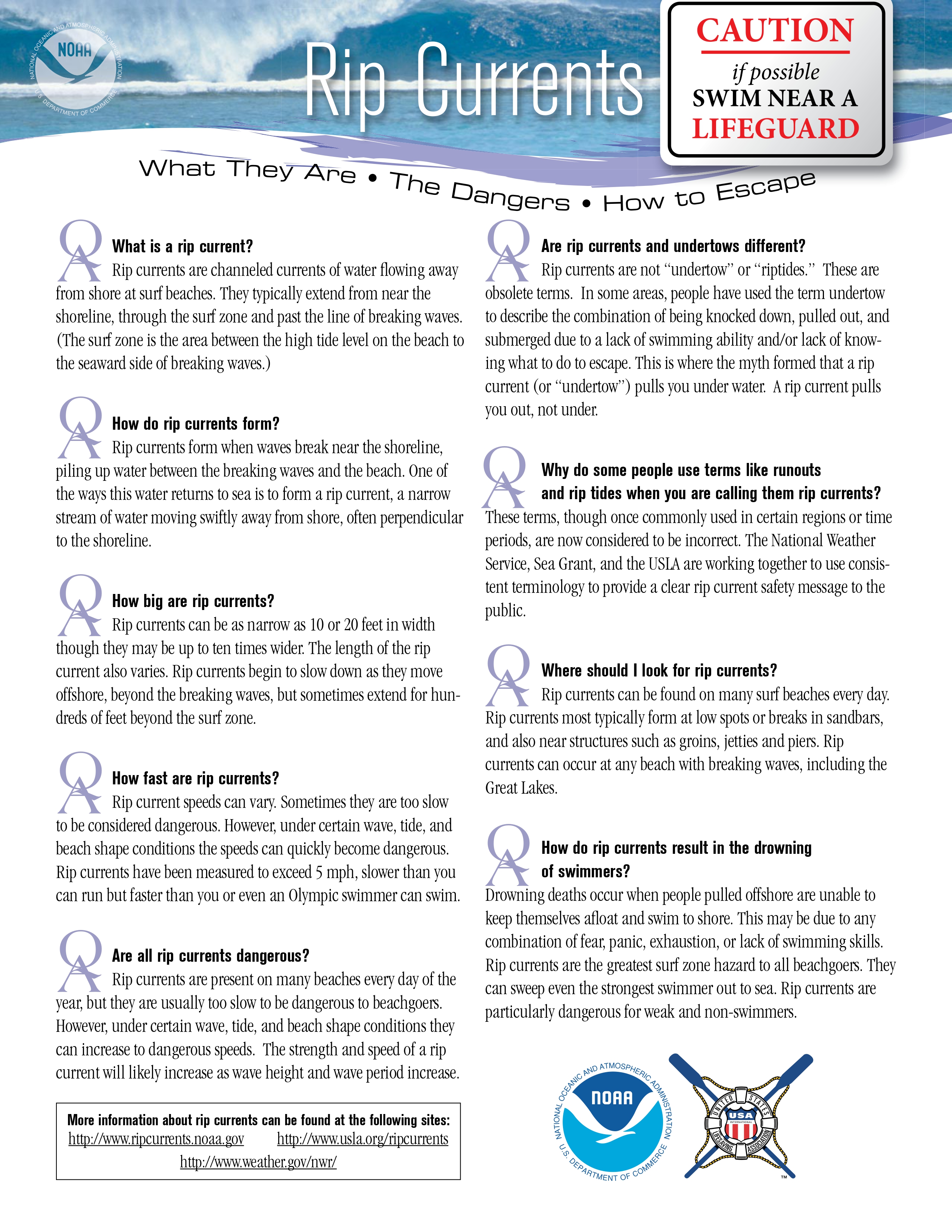 Citywide Council on English Language Learners flyer