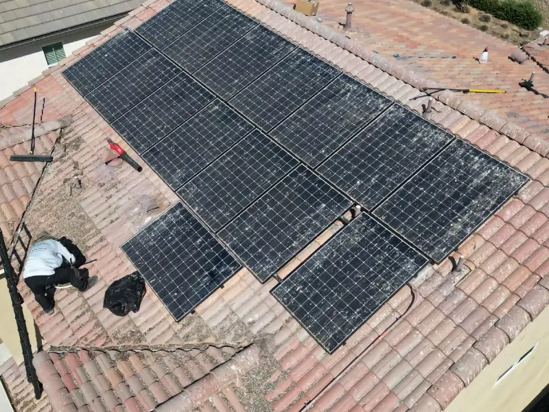 pigeon nest removal near me