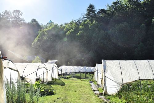 Feast of Eden Soups | Farm Fresh Ingredients