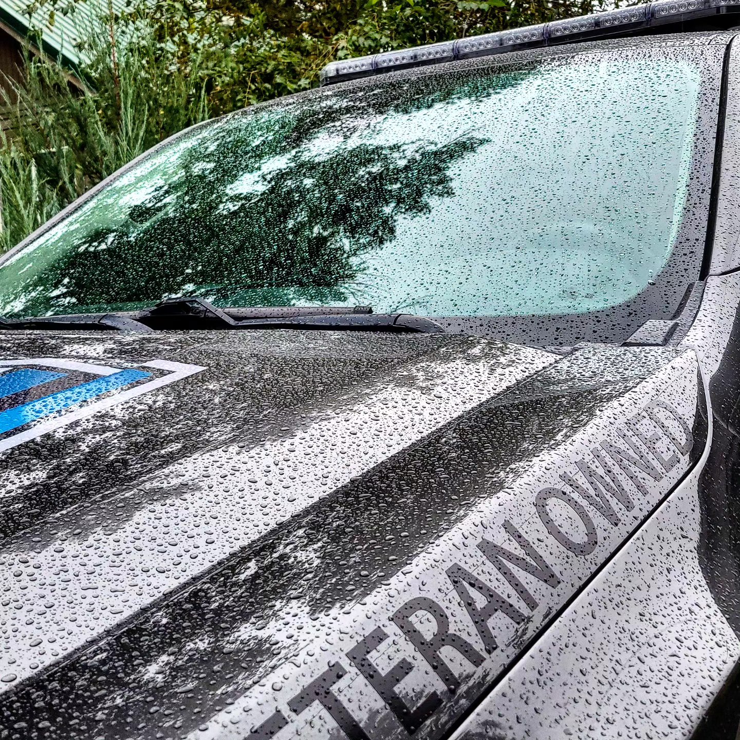 The hood of a truck with raindrops on it.