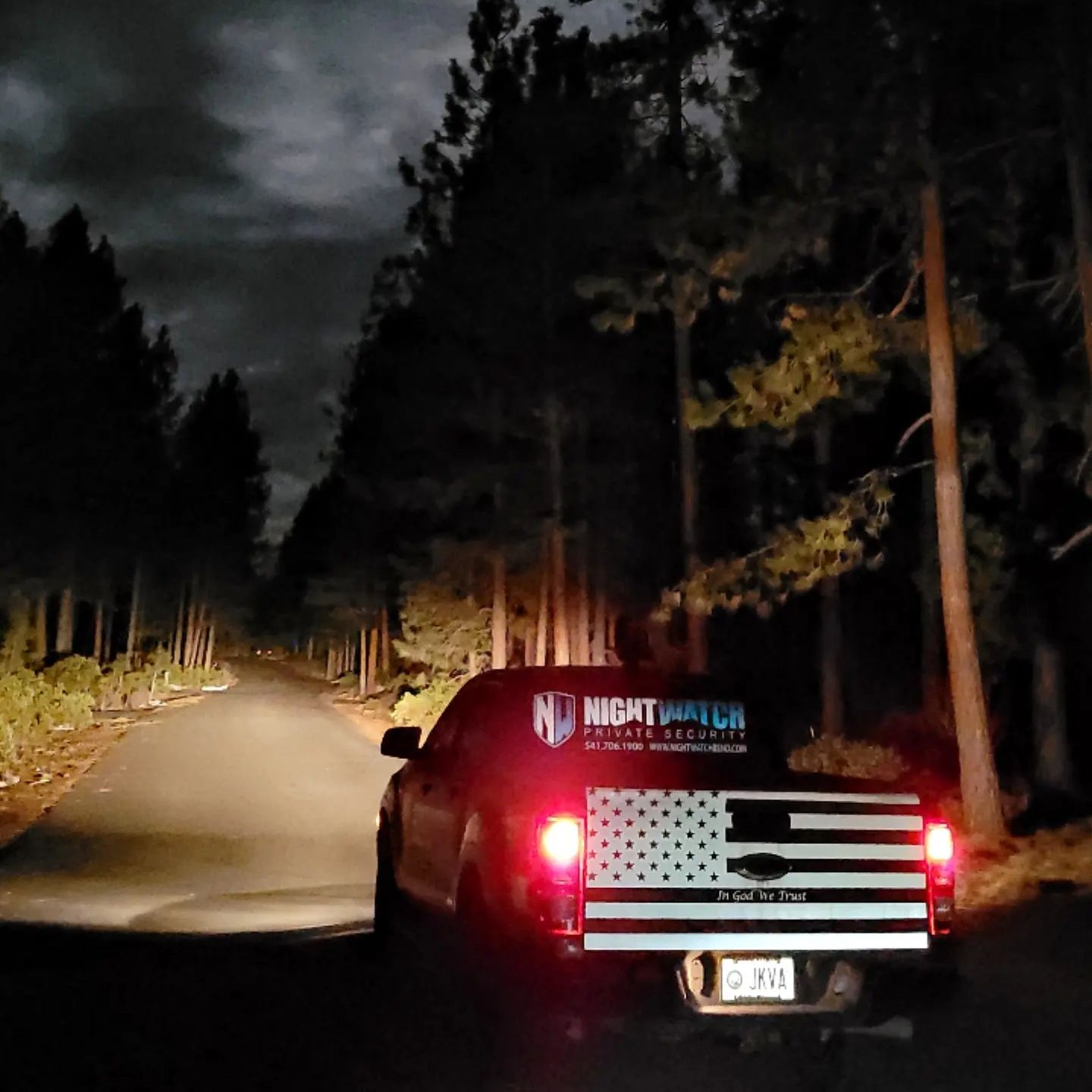 A truck parked at night under some pine trees.
