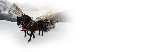 Winter horse drawn carriage ride on Pyramid Lake in Winter