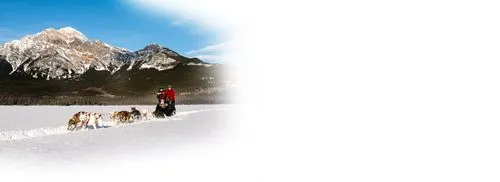 Dog sledding on Pyramid Lake in Winter with SunDog Tours
