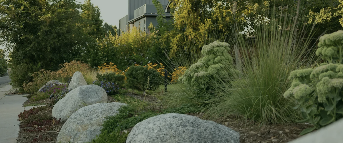 A Smarter Approach to Plant Selection