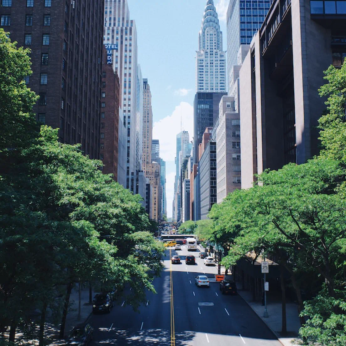 a city street lined with tall buildings and trees - volunteer - best organization website webflow CMS template