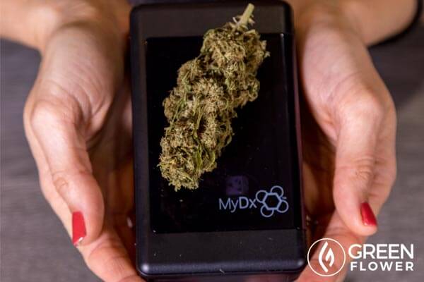 Here's Our Take On The MyDx Inc (OTCMKTS:MYDX) Numbers