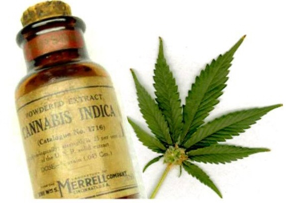 Forget The Noise, Here's Where The Value Lies In Growblox Sciences Inc (OTCMKTS:GBLX)